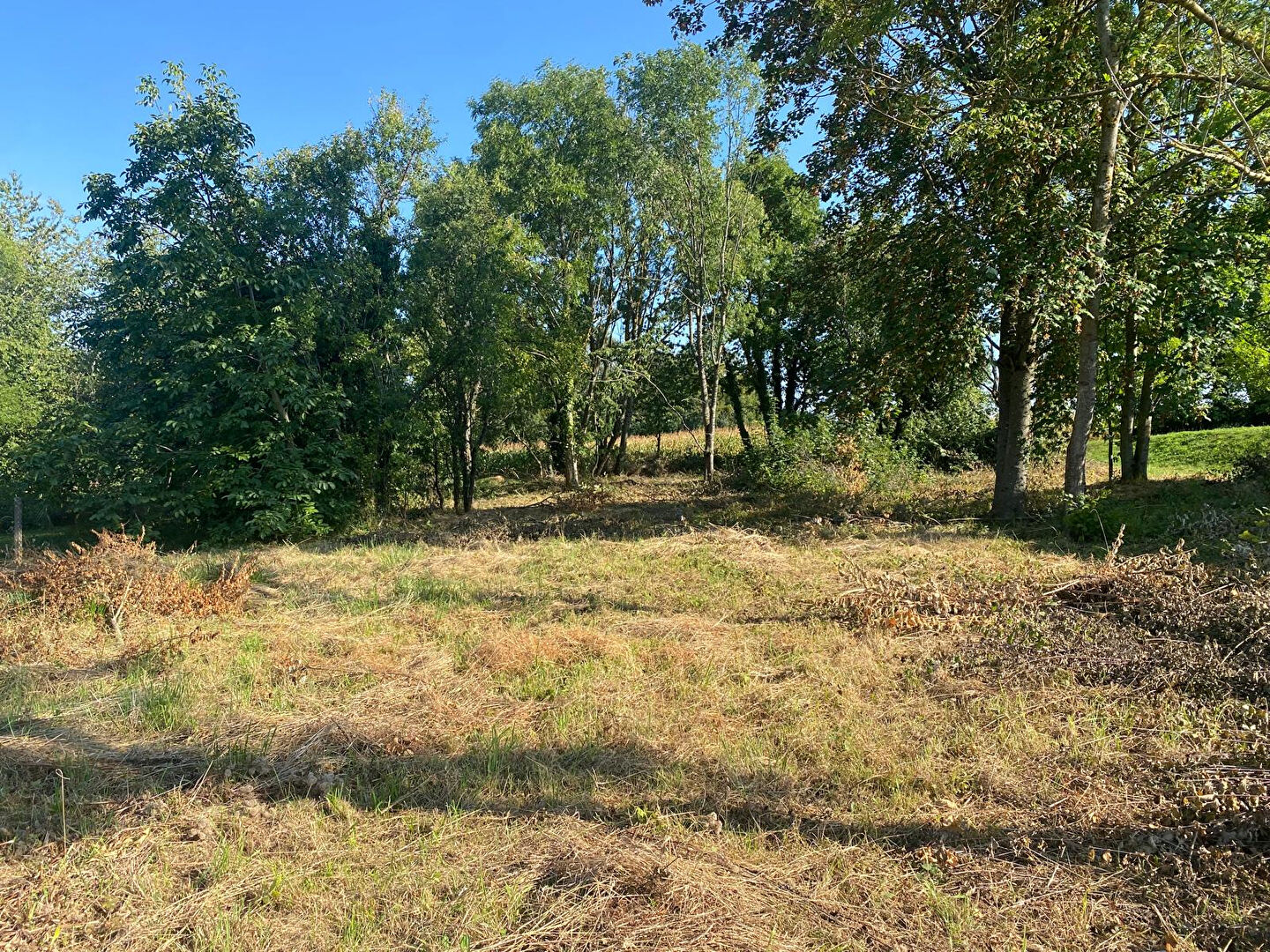 Terrain Bruebach 2119 m2