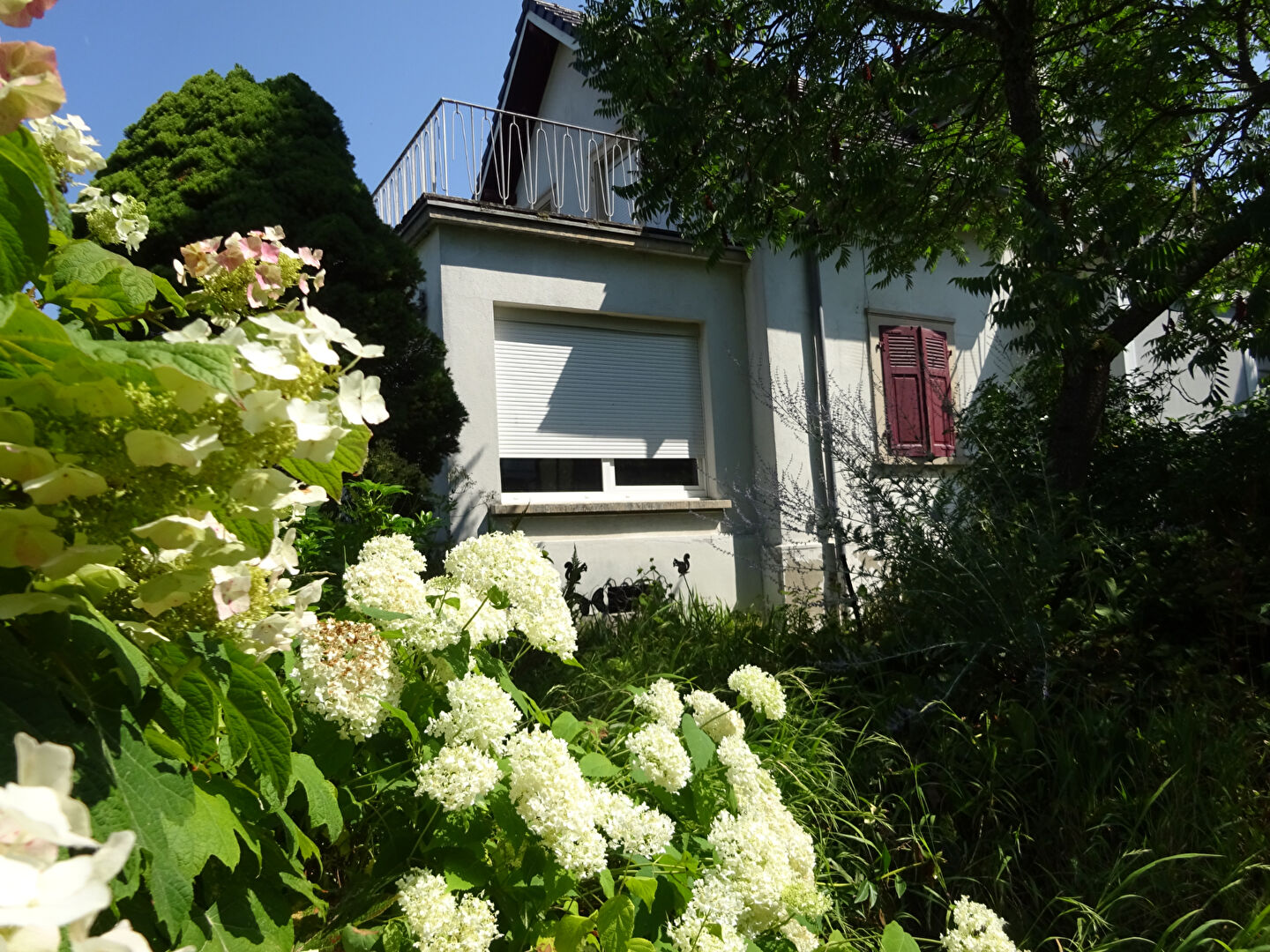 Agence immobilière de ETUDE HOENNER IMMOBILIER Riedisheim - ETUDE HOENNER IMMOBILIER