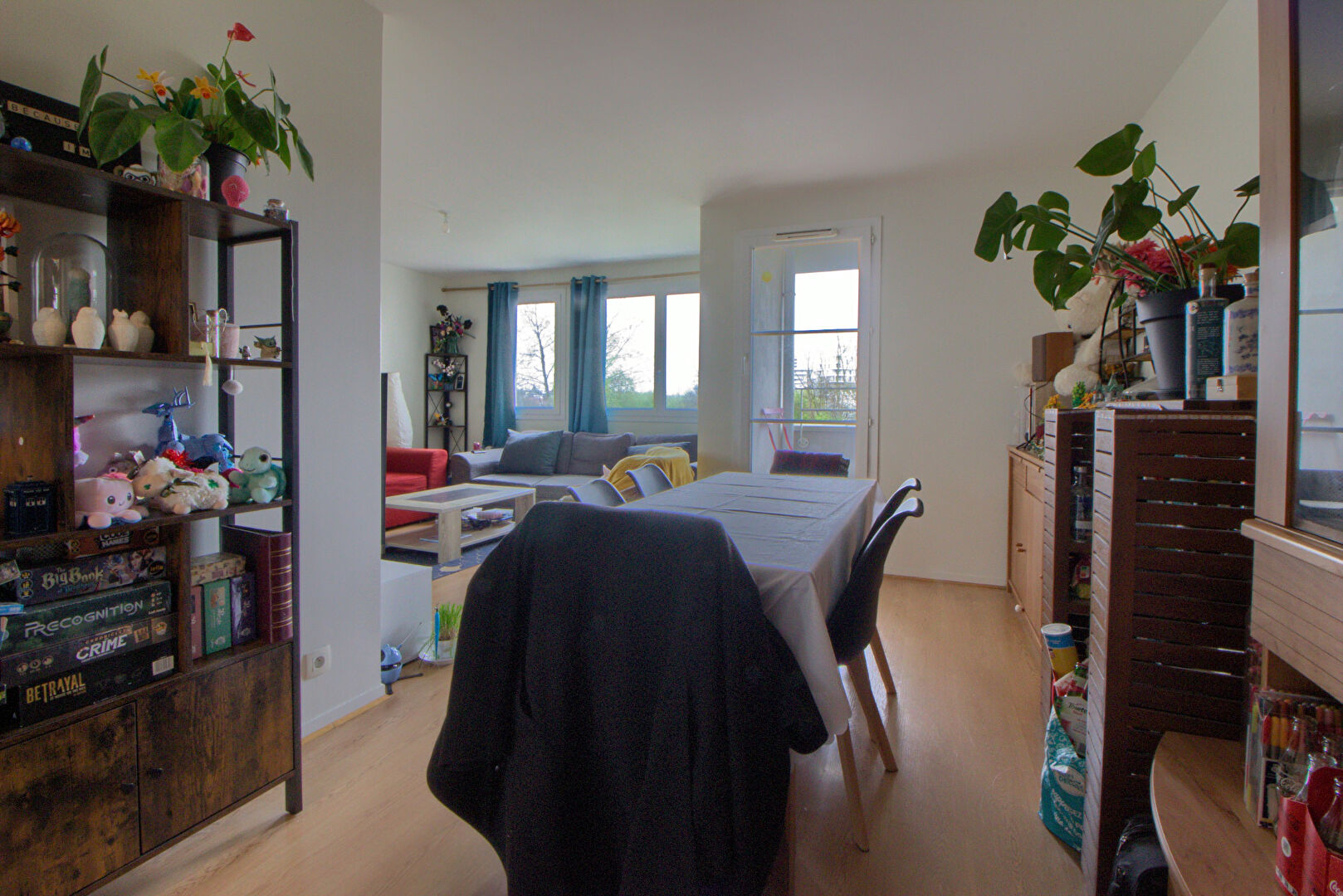 Photo À vendre ? Appartement 3 chambres avec vue sur la Vilaine ? Rennes, rue Jeanne Malivel image 3/6
