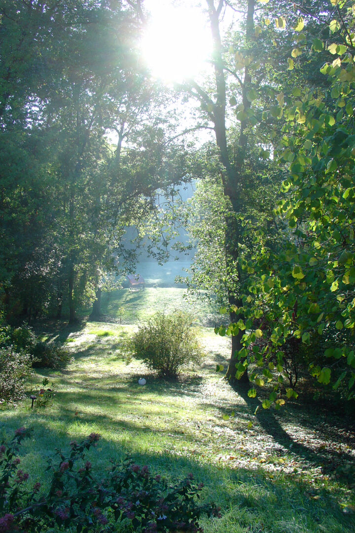 Photo Maison familiale 6 pièces - ESTOUY  (45300) image 4/6