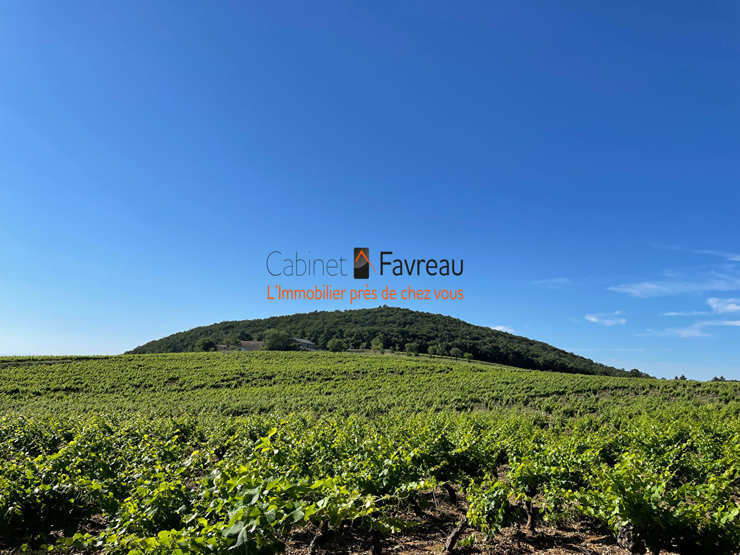 Photo Domaine de 30ha dont 20 ha plantés en vignes AOC Côtes du Rhône avec deux bâtisses de 350 et 260m²  avec vue sur le Mont Ventoux image 5/6