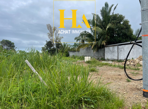 Agence immobilière de HA.IMMO - La Réunion / Mayotte