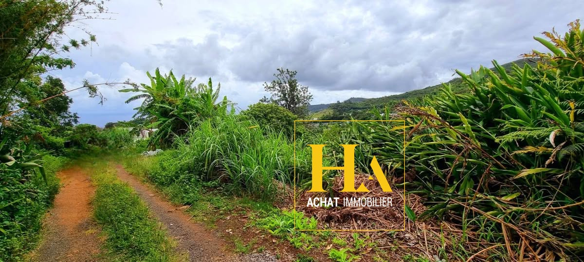 Agence immobilière de HA.IMMO - La Réunion / Mayotte