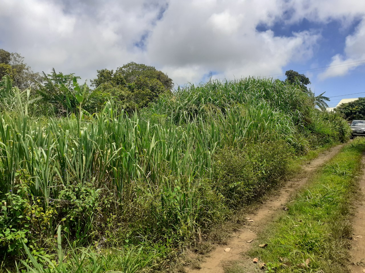 Agence immobilière de HA.IMMO - La Réunion / Mayotte