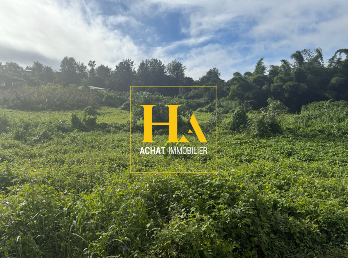 Agence immobilière de HA.IMMO - La Réunion / Mayotte