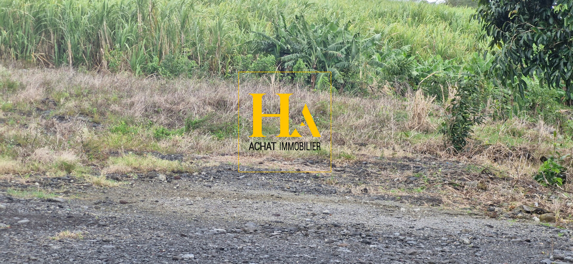 Agence immobilière de HA.IMMO - La Réunion / Mayotte