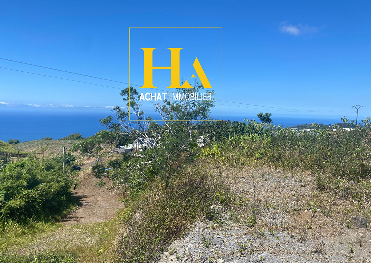 Agence immobilière de HA.IMMO - La Réunion / Mayotte