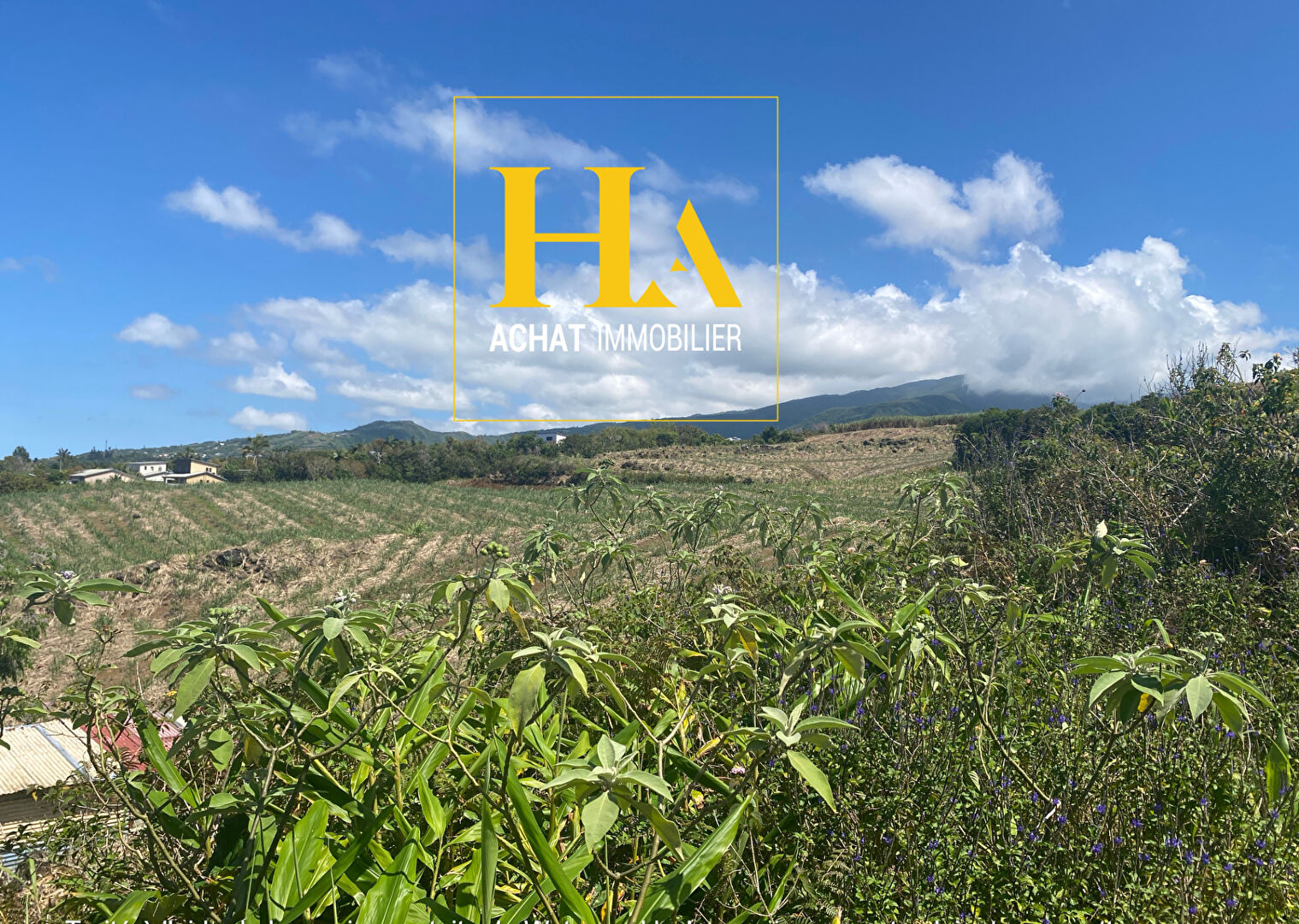 Agence immobilière de HA.IMMO - La Réunion / Mayotte
