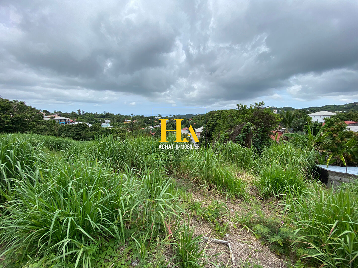 Agence immobilière de HA.IMMO - La Réunion / Mayotte
