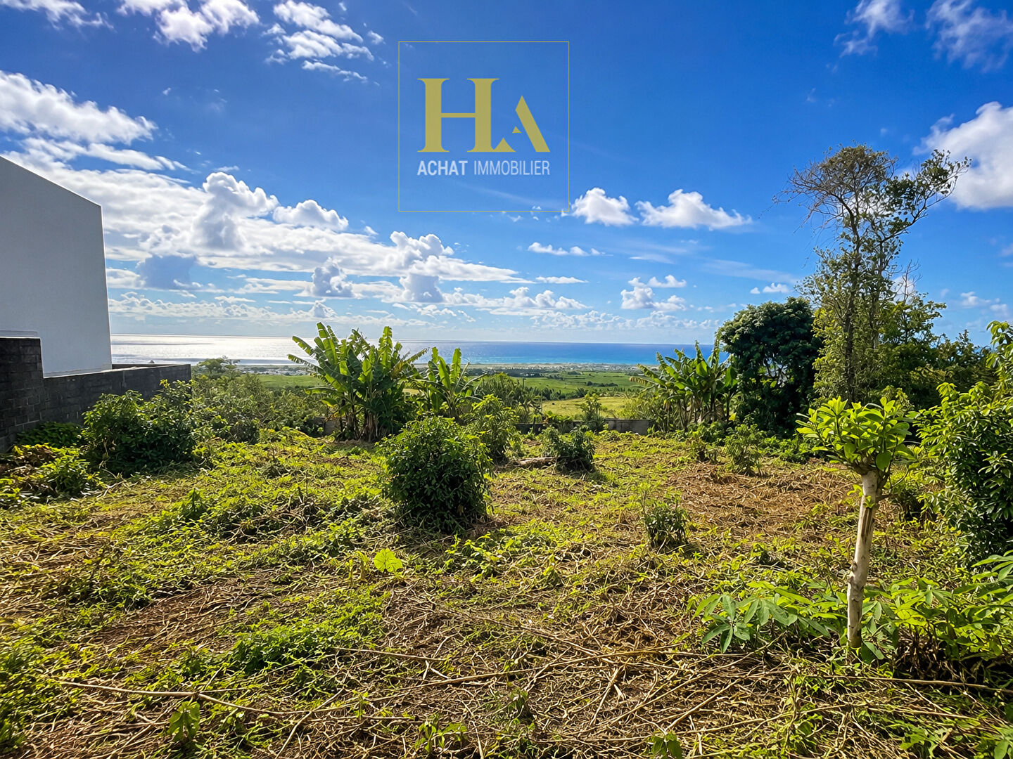 Agence immobilière de HA.IMMO - La Réunion / Mayotte