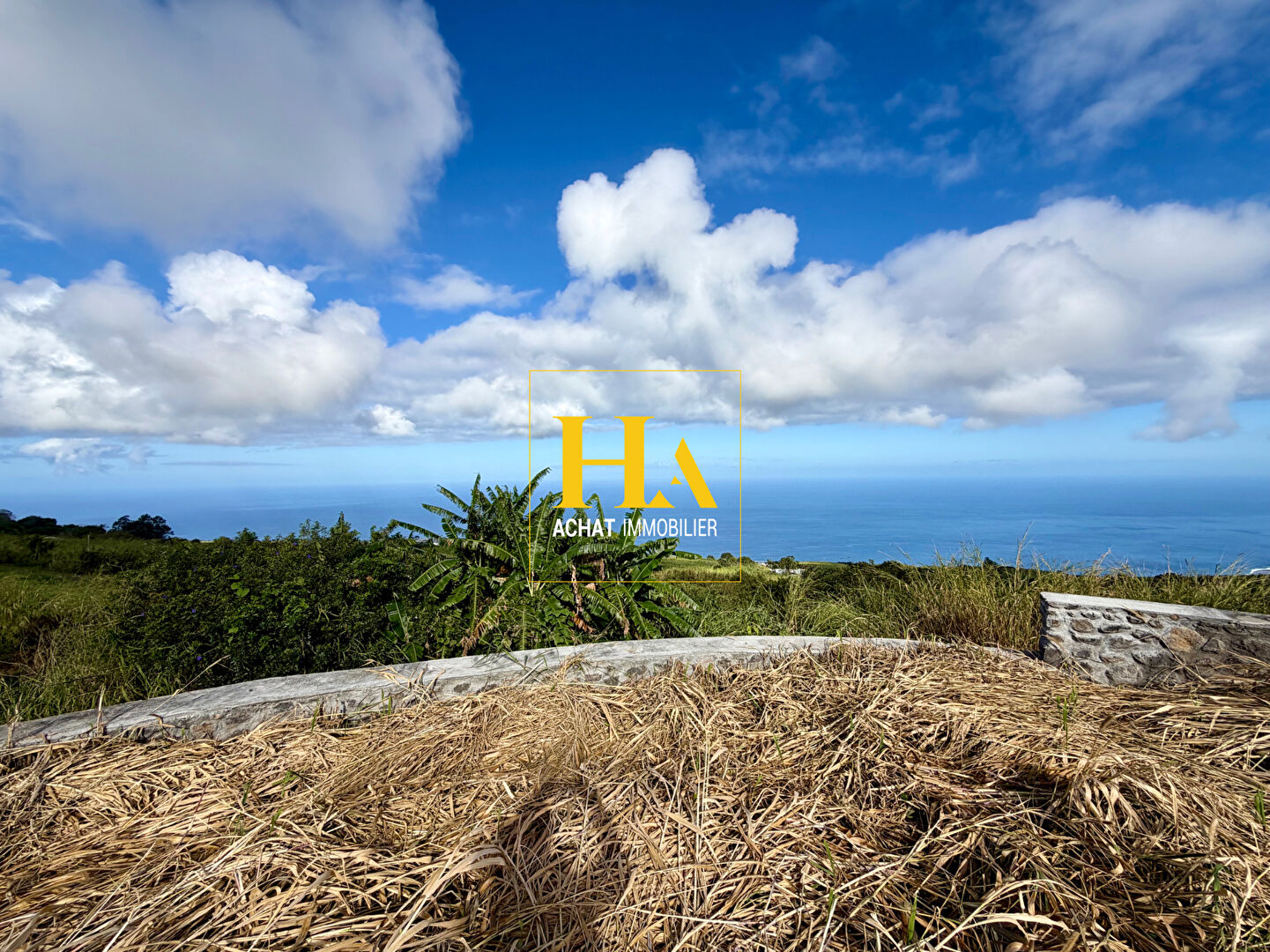 Agence immobilière de HA.IMMO - La Réunion / Mayotte