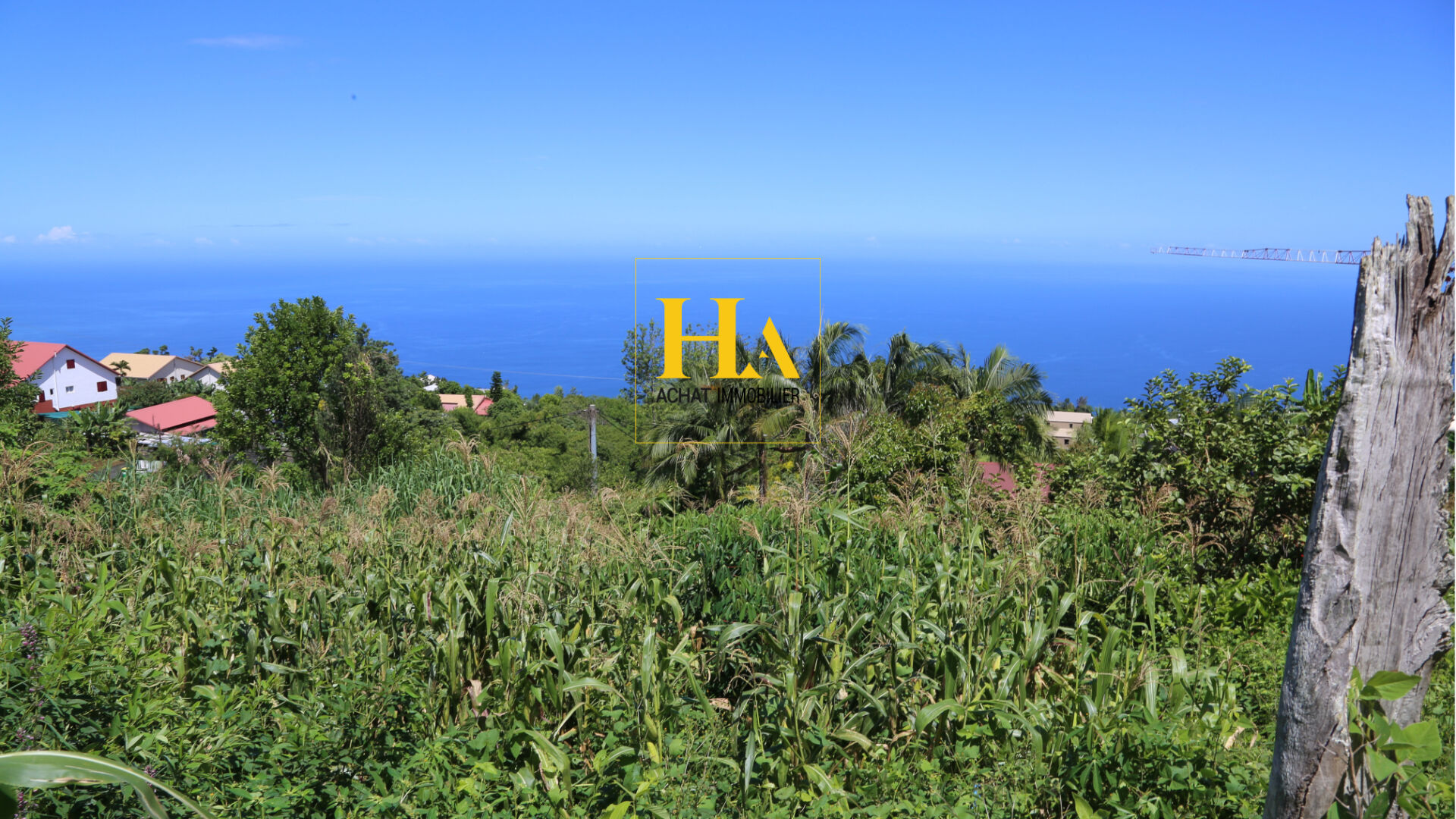 Agence immobilière de HA.IMMO - La Réunion / Mayotte