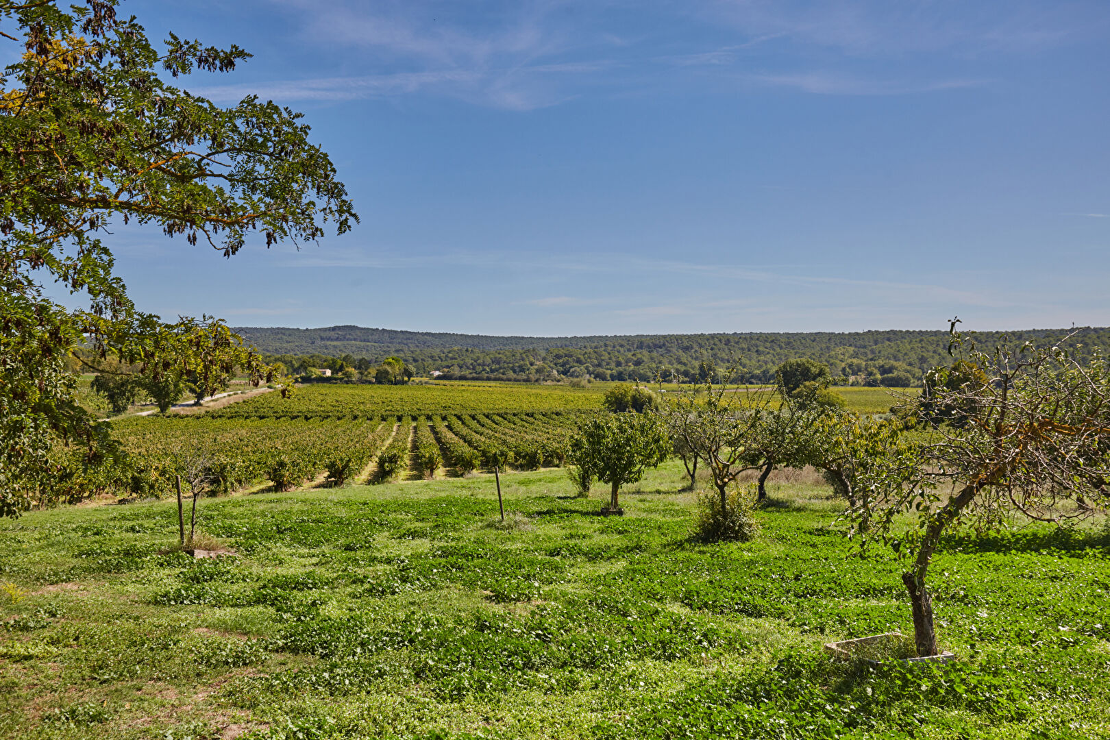Agence immobilière de FINACTIF IMMOBILIER Eguilles - FINACTIF IMMOBILIER