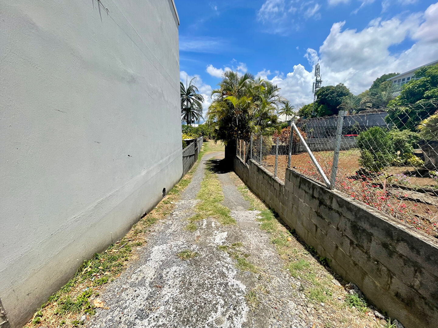 Photo Terrain à vendre Mont-vert-les-bas - 882 m² - 281 000 image 4/4