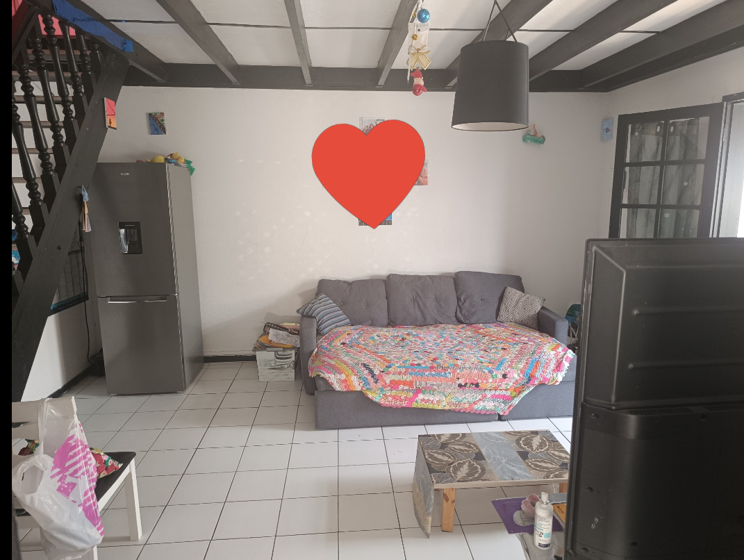 Photo MAISONS MITOYENNES A ST JOSEPH image 6/6