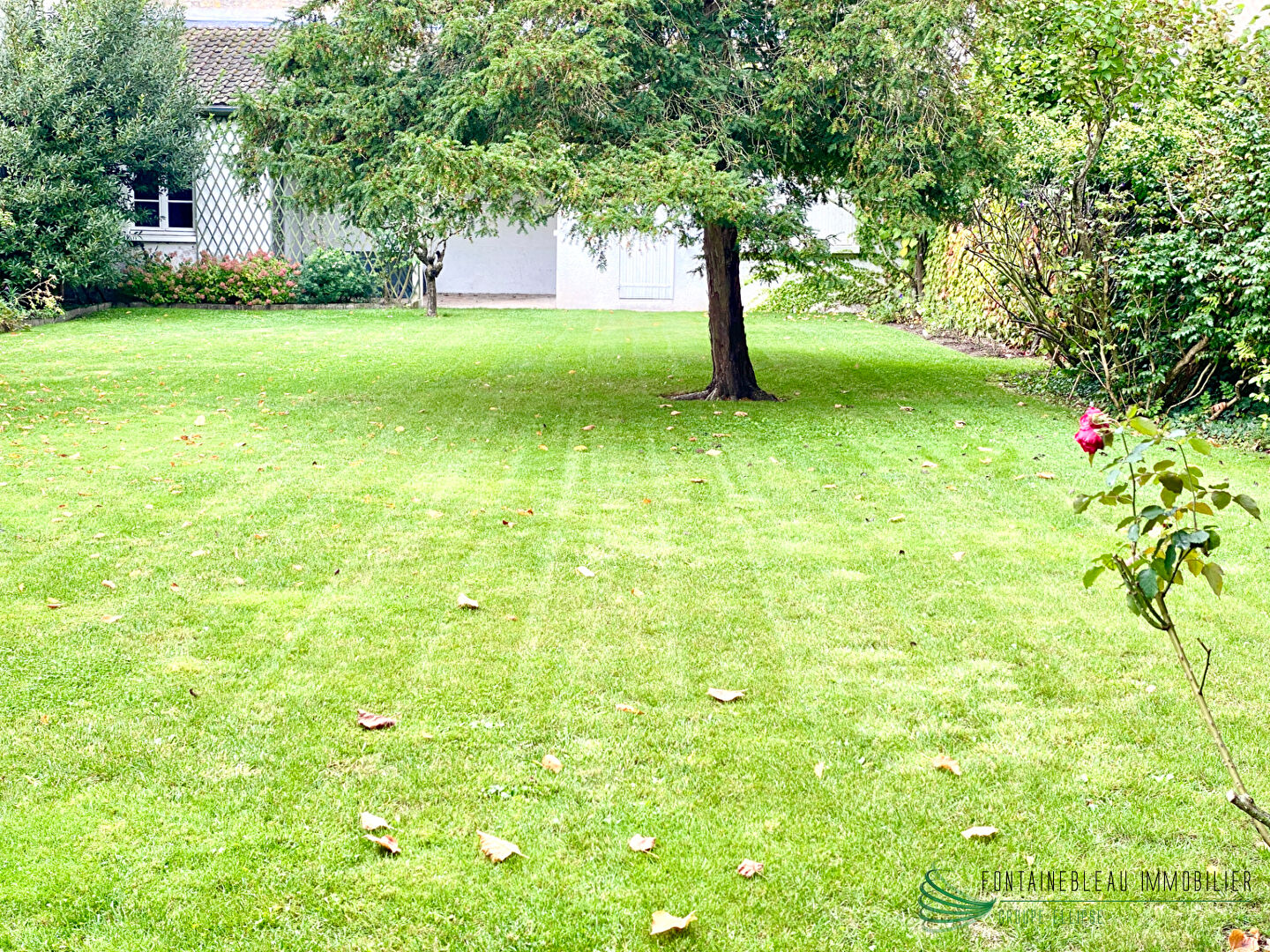 Photo FONTAINEBLEAU image 5/6