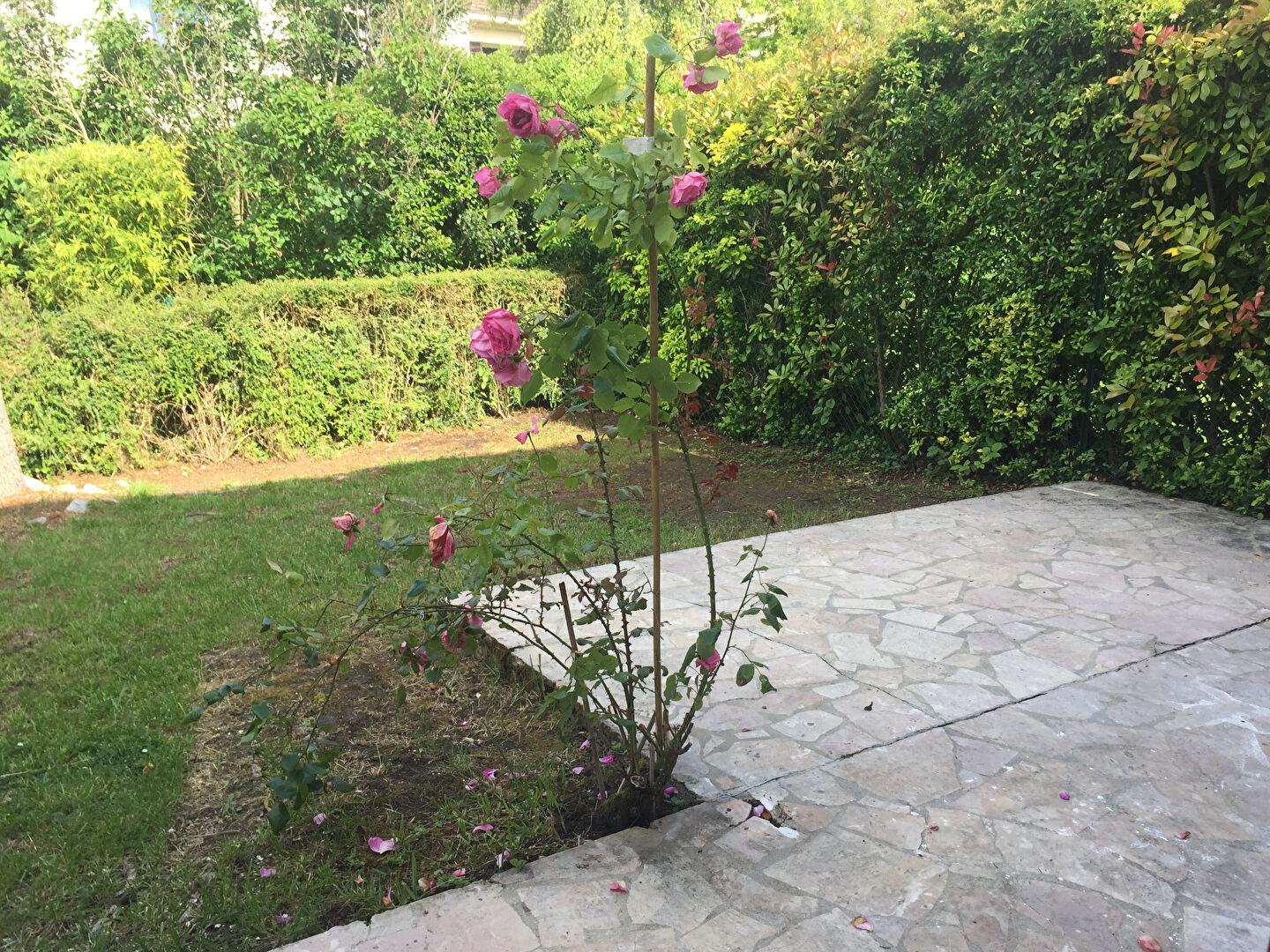 Agence immobilière de FRIMMOBILIER Port-Marly - FRIMMOBILIER