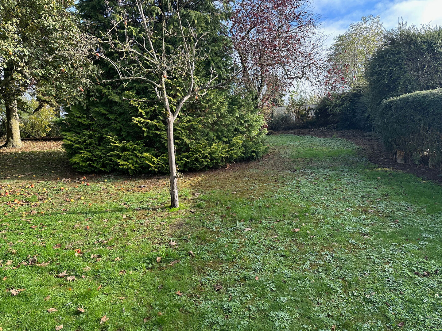 Photo MAISON LE TRANSLOY - 4 pièce(s) - 70 m2 image 6/6