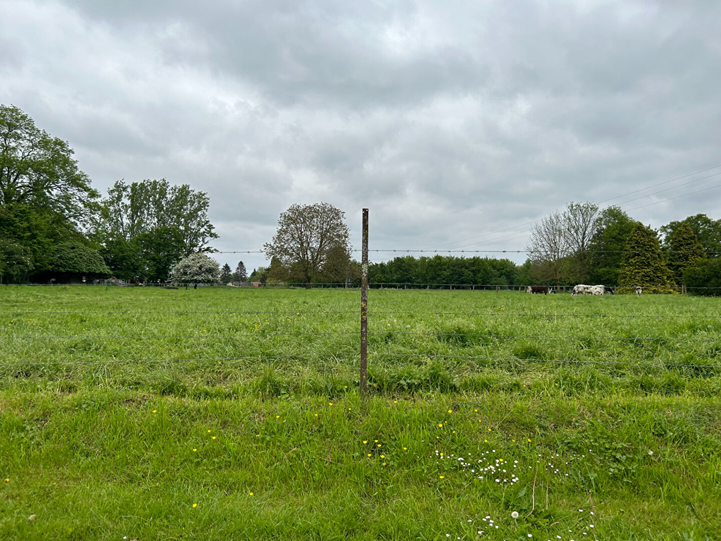 Photo Terrain à batir Achiet Le Petit 2500 m2 image 2/4