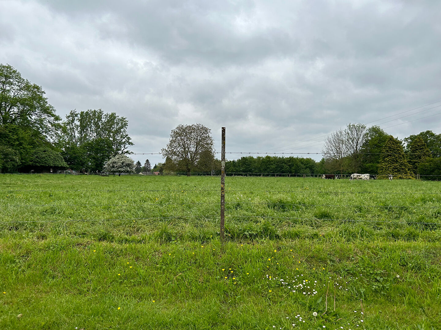 Agence immobilière de GERONIMMO Bapaume - GERONIMMO
