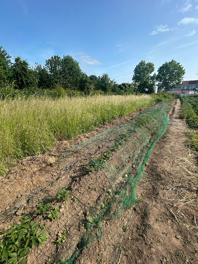 Terrain pour Jardinier 671m²