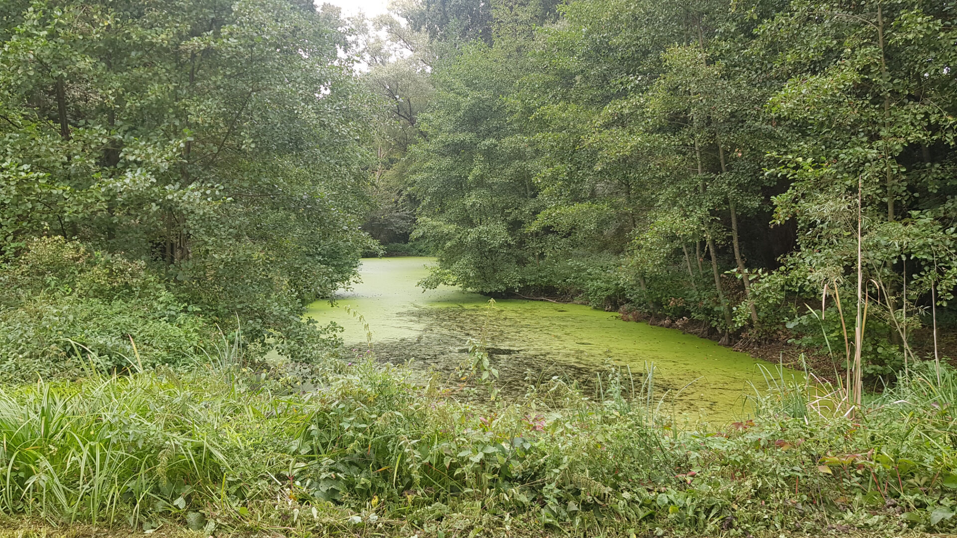 ETANG Ville Sur Ancre sur 3587 m2
