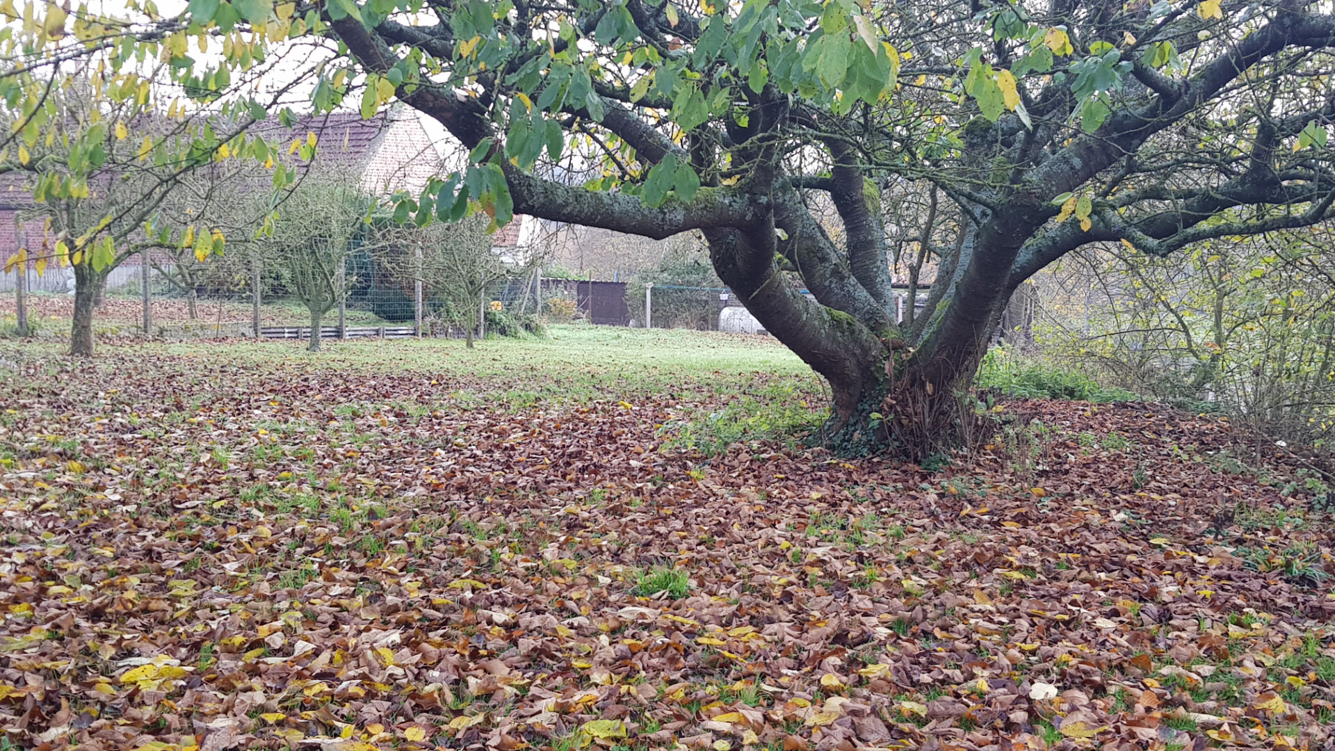 Photo MIRAUMONT EXCLUSIVITE image 3/6