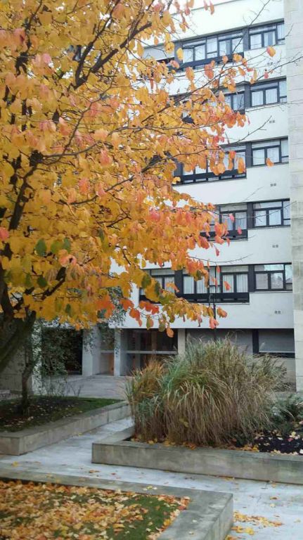 Photo APPARTEMENT FRANCONVILLE - 1 pièce(s) - 25 m2 image 5/6