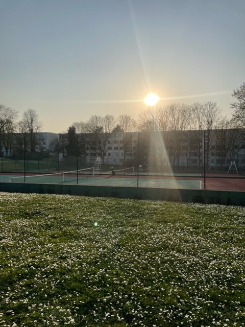 Photo Appartement Marly Le Roi 3 pièce(s) 52.35 m2 image 3/6