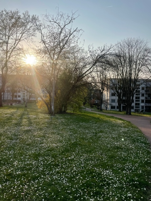 Photo Appartement Marly Le Roi 3 pièce(s) 52.35 m2 image 4/6