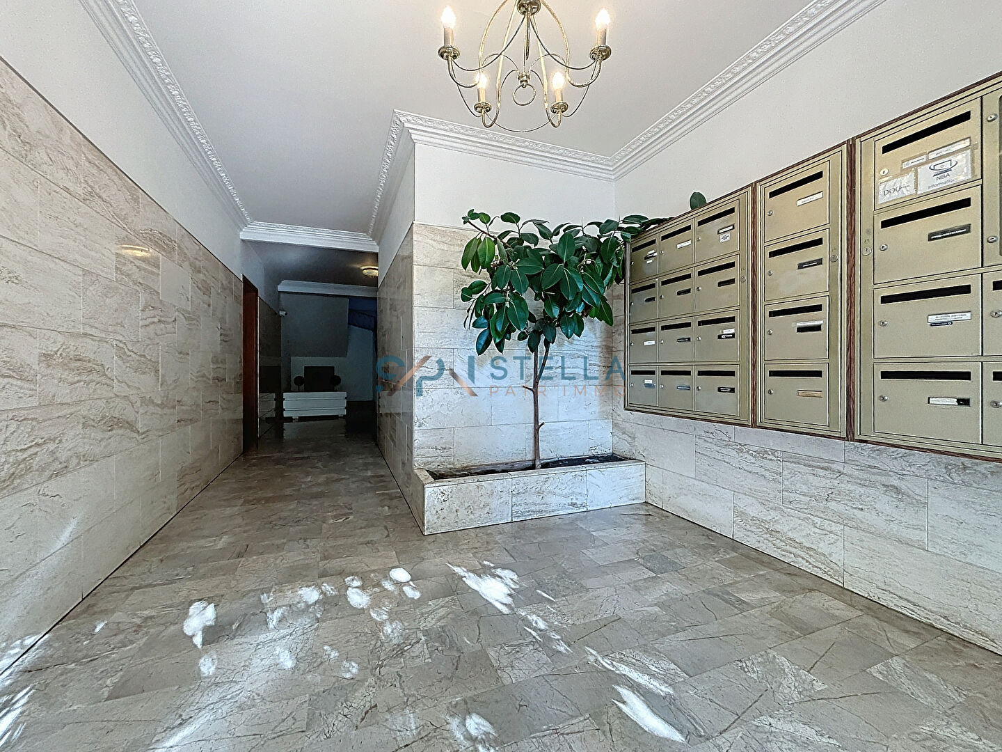Agence immobilière de STELLA PATR'IMMO