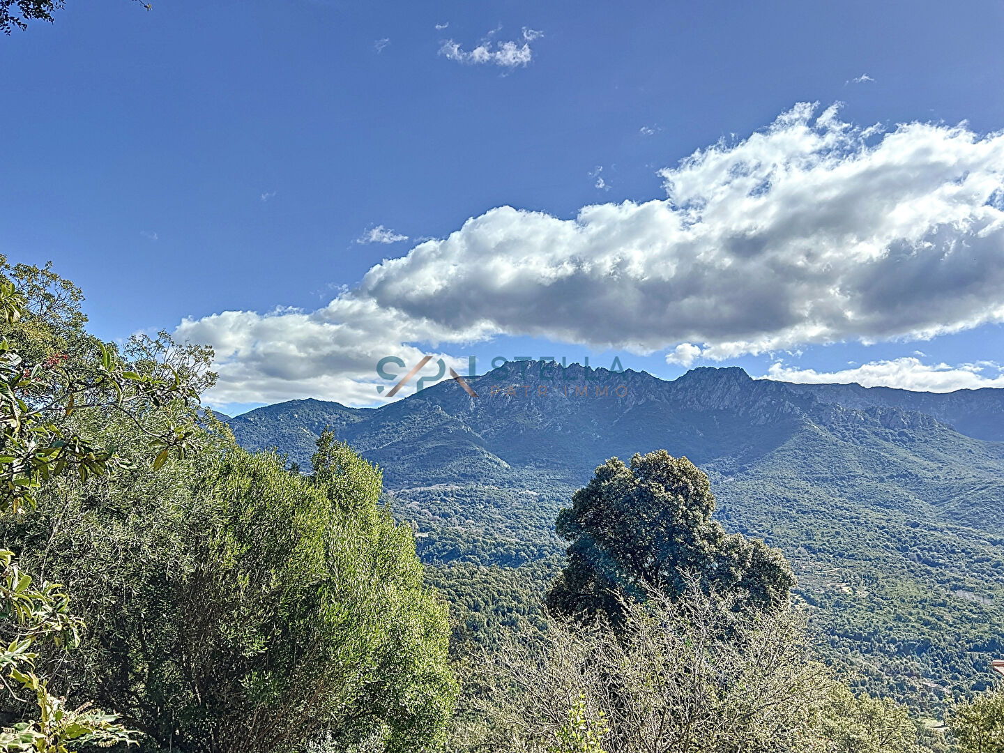 Agence immobilière de STELLA PATR'IMMO