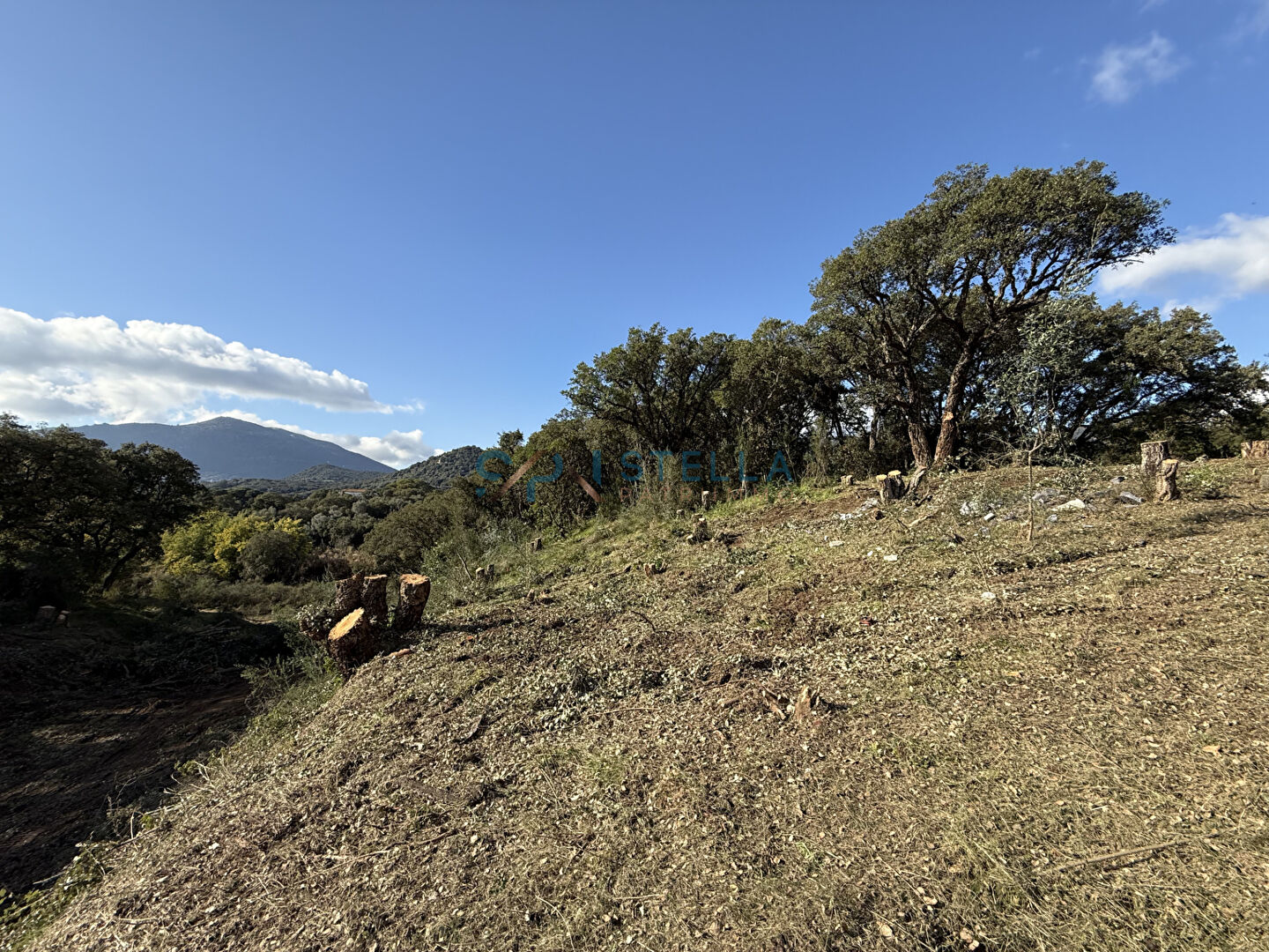 Photo T3  en dernier étage en pignon d'une résidence intimiste image 5/5