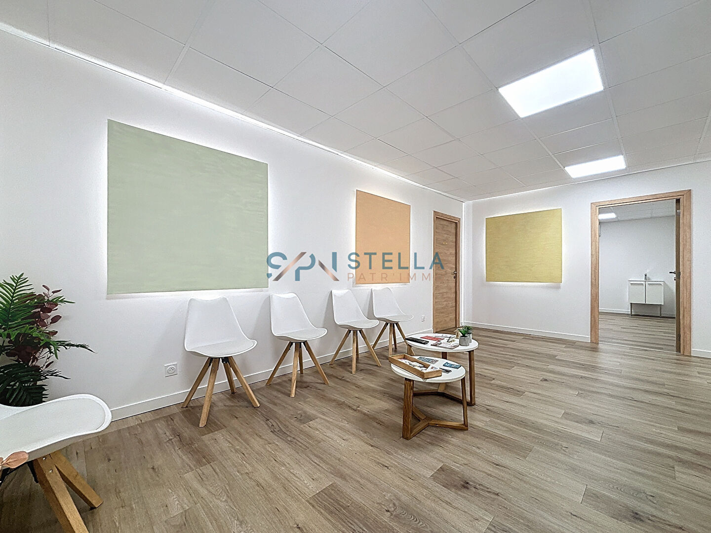 Agence immobilière de STELLA PATR'IMMO