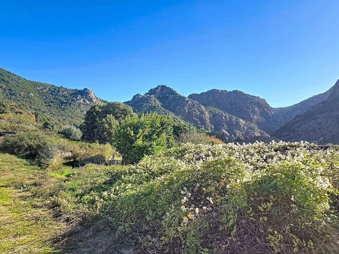 Photo Maison 6 chambres de 275m2 avec deux dépendances image 2/6