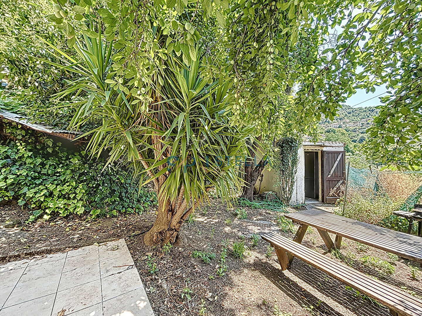 Photo Studio avec jardin et wifi inclus Village de Cuttoli-Corticchiato image 4/5