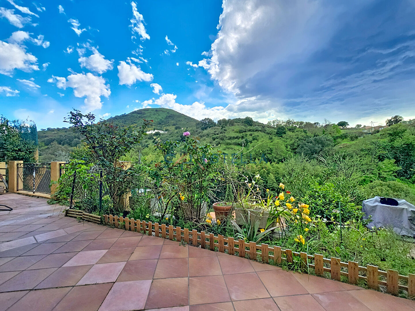 Agence immobilière de STELLA PATR'IMMO