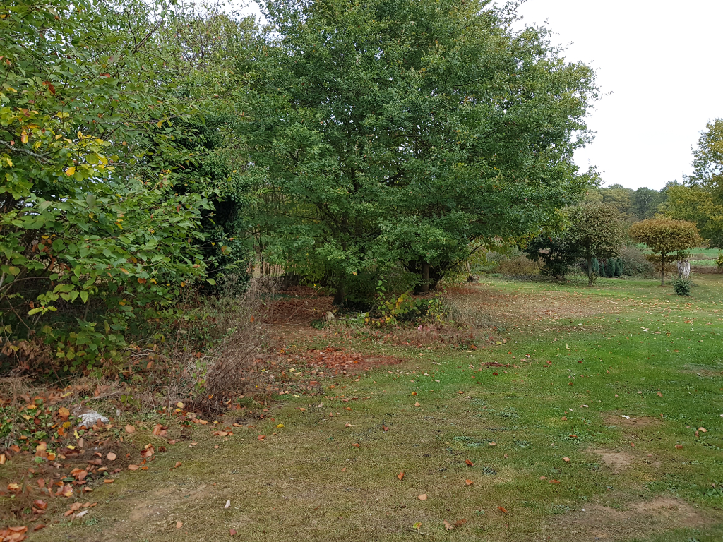 Photo Terrain constructible de 1287 m2 image 2/3