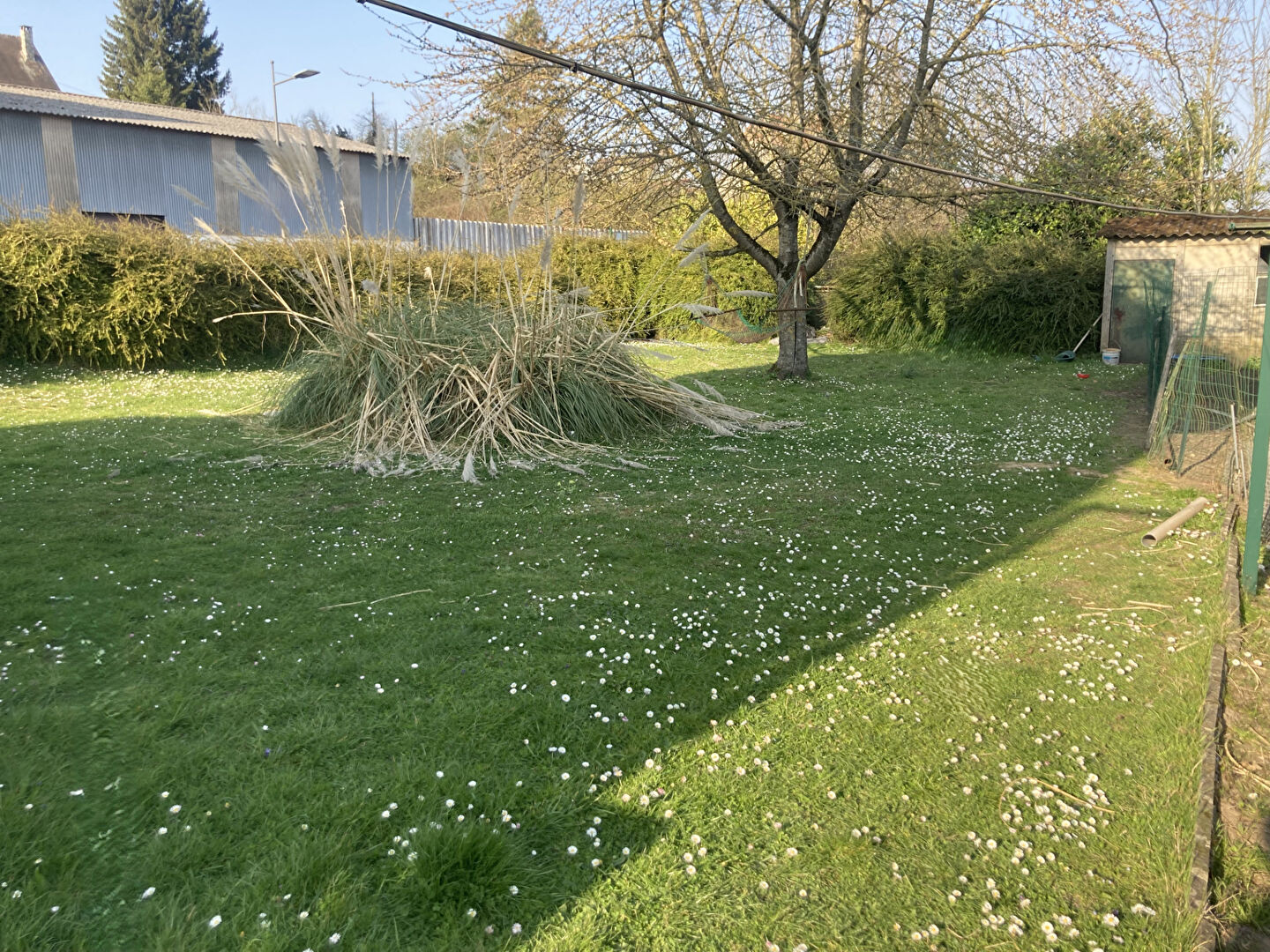 TERRAIN A BATIR - THOUROTTE