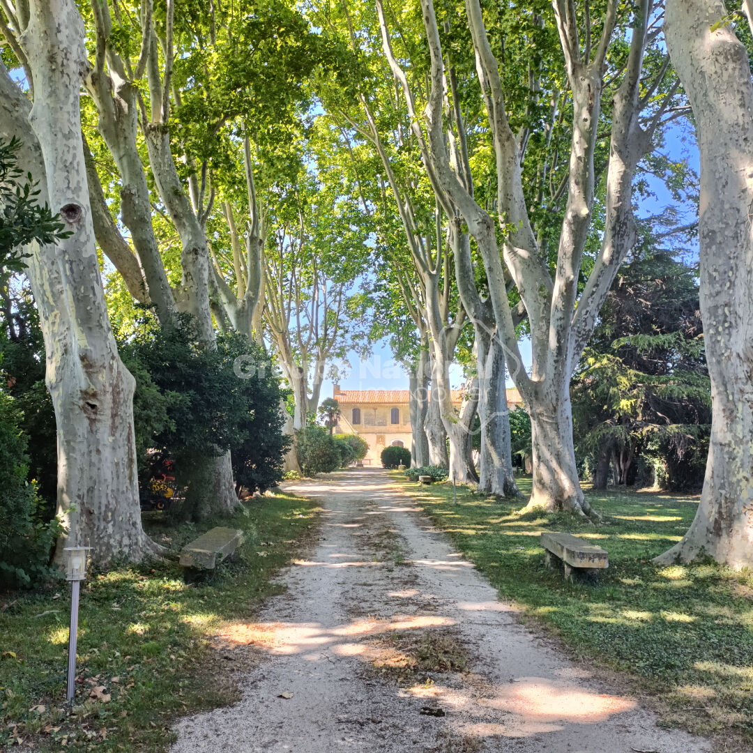 Photo Mas authentique avec grand terrain - Idéal pour chevaux image 4/6