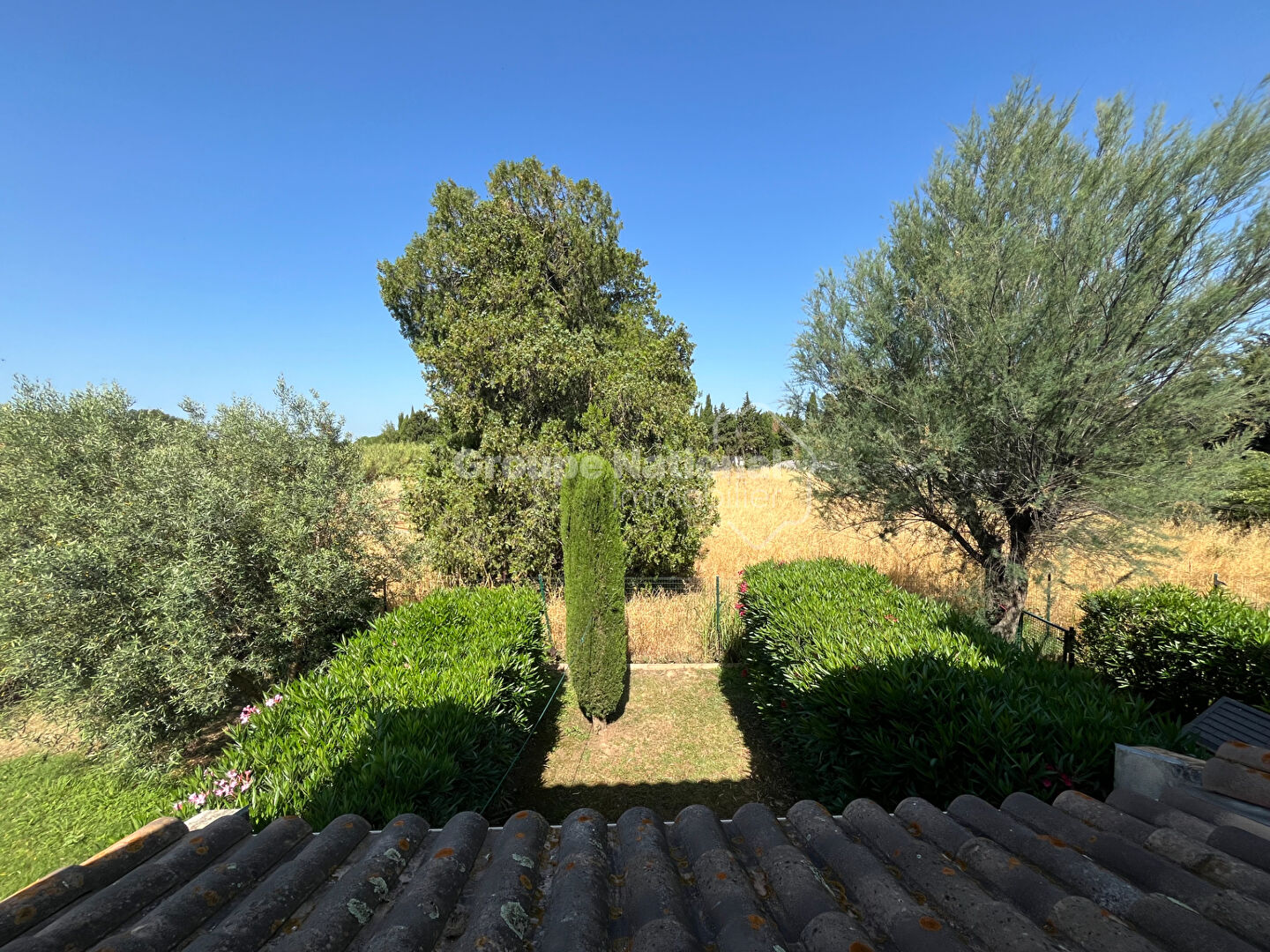 Agence immobilière de GNIMMO - Manaranche Immobilier-Arles - GNIMMO - Manaranche Immobilier-RDO HEKTOR