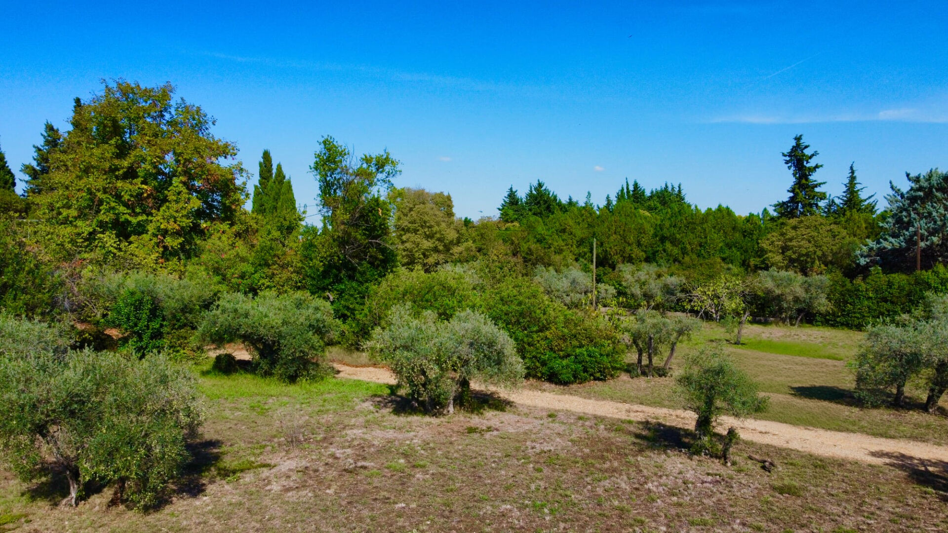 Agence immobilière de GNIMMO - Manaranche Immobilier-Arles - GNIMMO - Manaranche Immobilier-RDO HEKTOR