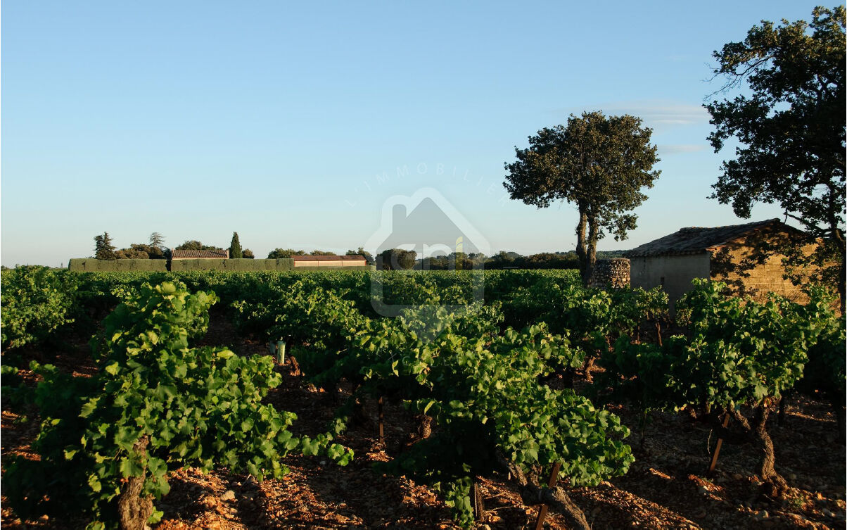 Agence immobilière de VAUCLUSE IMMOBILIER