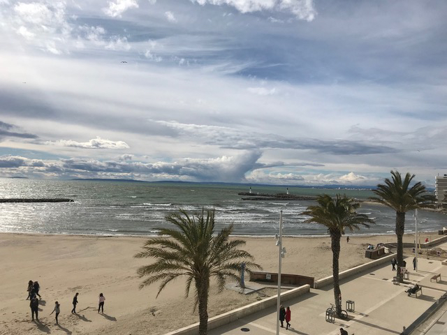 Photo APPARTEMENT Duplex type T3 VUE MER image 3/6