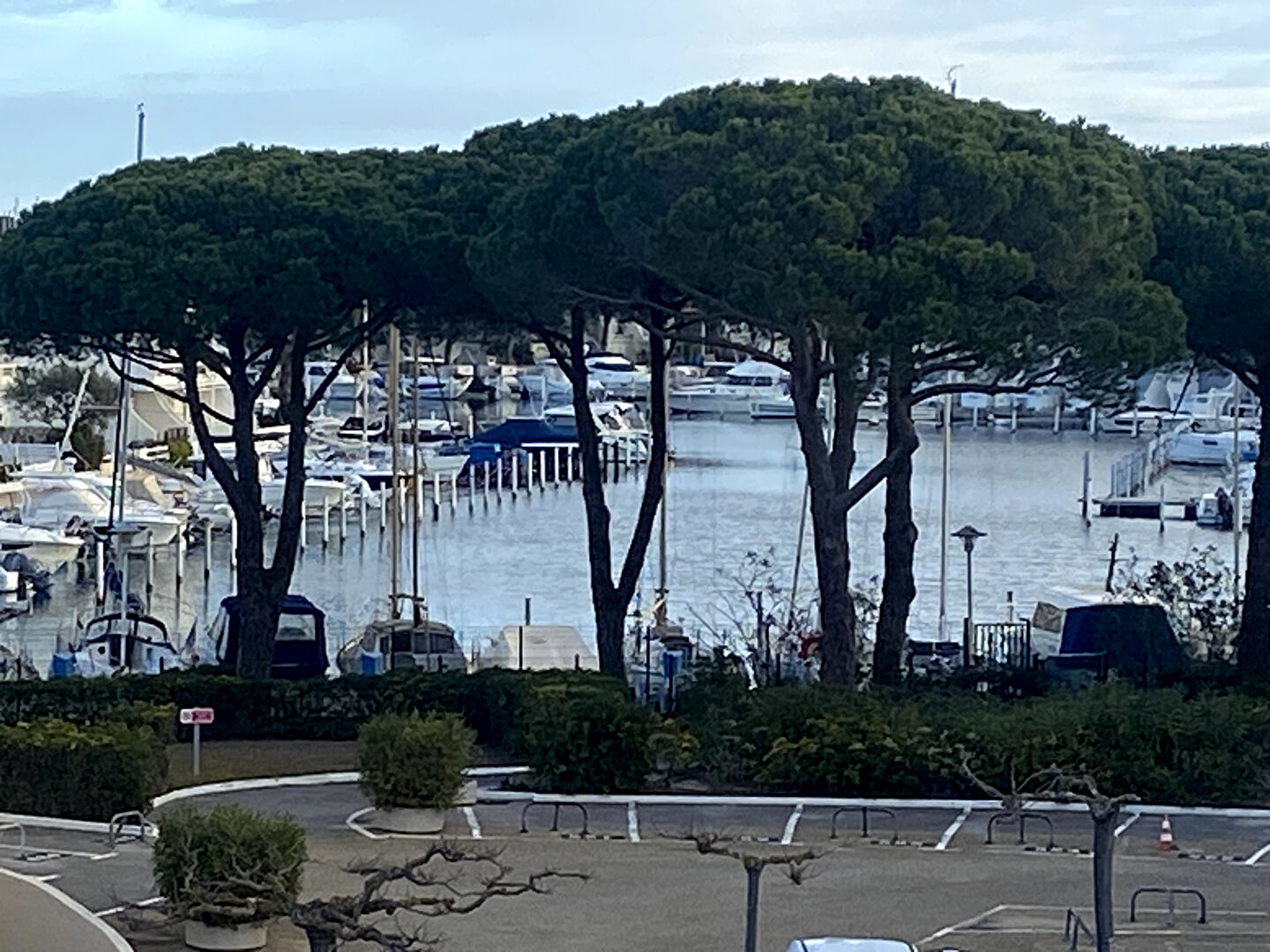 Agence immobilière de GRAND SUD REAL ESTATE IMMOBILIER Le Grau Du Roi - GRAND SUD REAL ESTATE IMMOBILIER