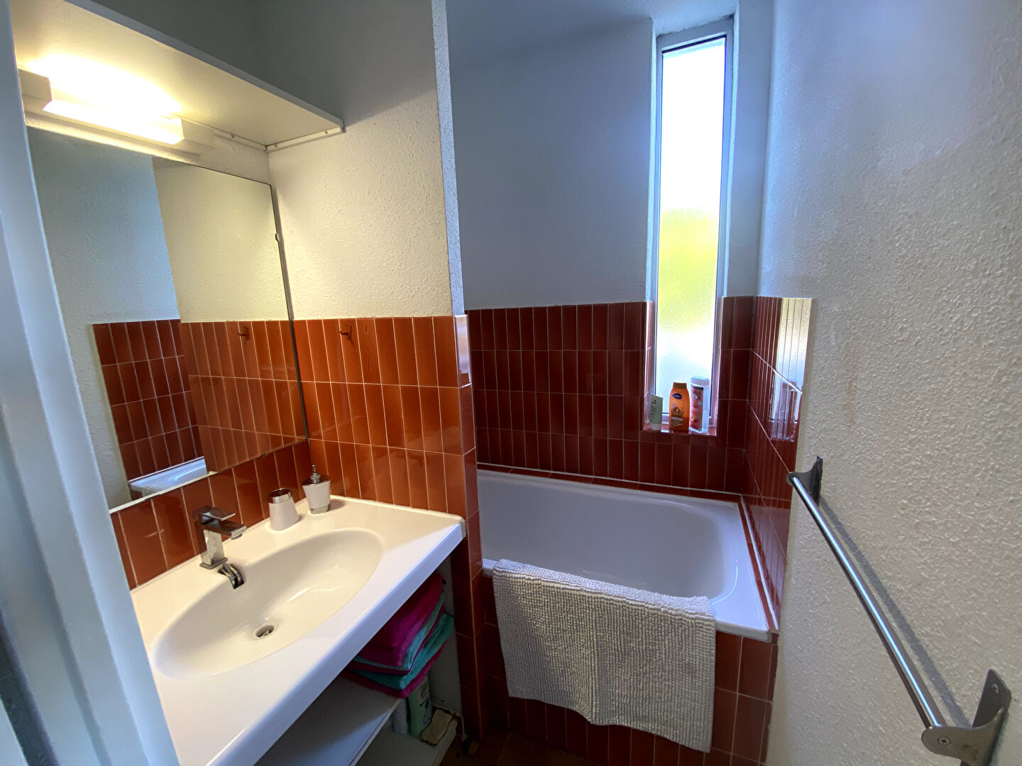 Photo À vendre : Appartement 1 pièce avec vue mer à Le Grau du Roi image 5/6