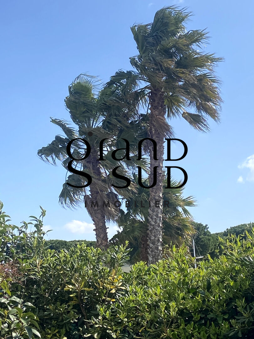 Agence immobilière de GRAND SUD REAL ESTATE IMMOBILIER Le Grau Du Roi - GRAND SUD REAL ESTATE IMMOBILIER