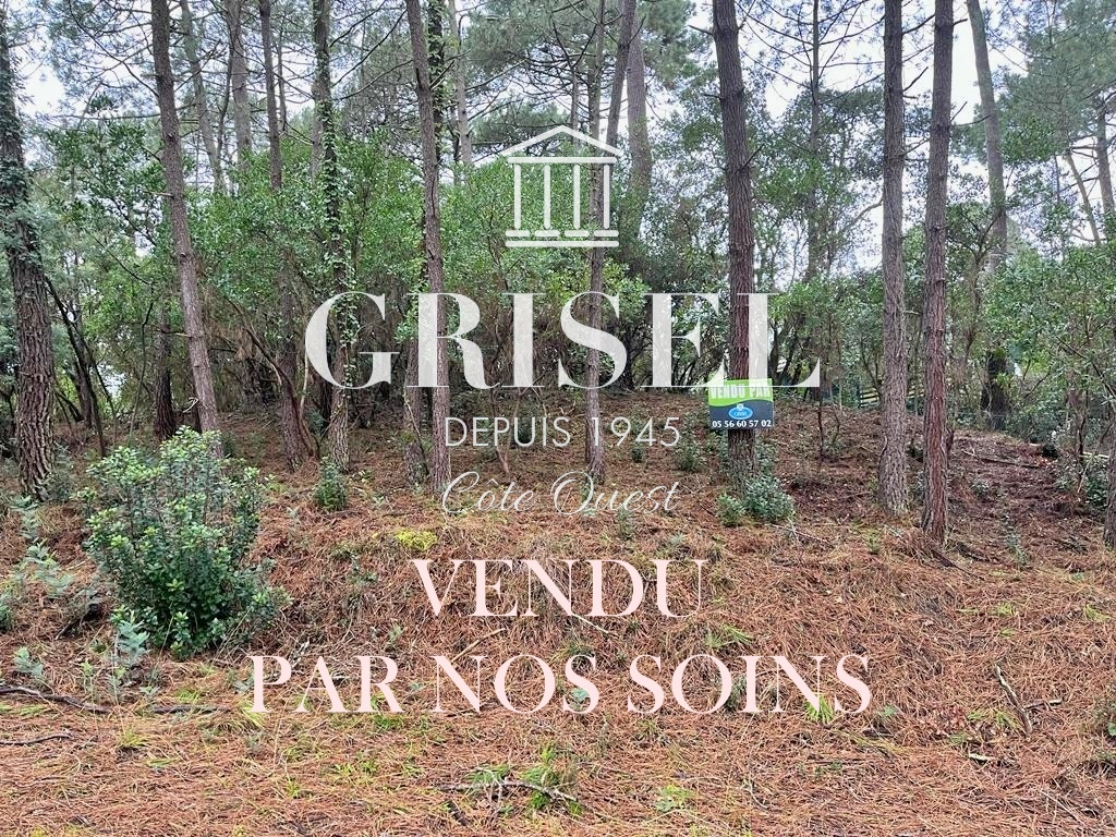 Agence immobilière de GRISEL IMMOBILIER - GRISEL IMMOBILIER BORDEAUX