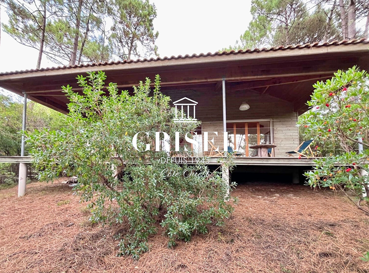 Agence immobilière de GRISEL IMMOBILIER - GRISEL IMMOBILIER BORDEAUX