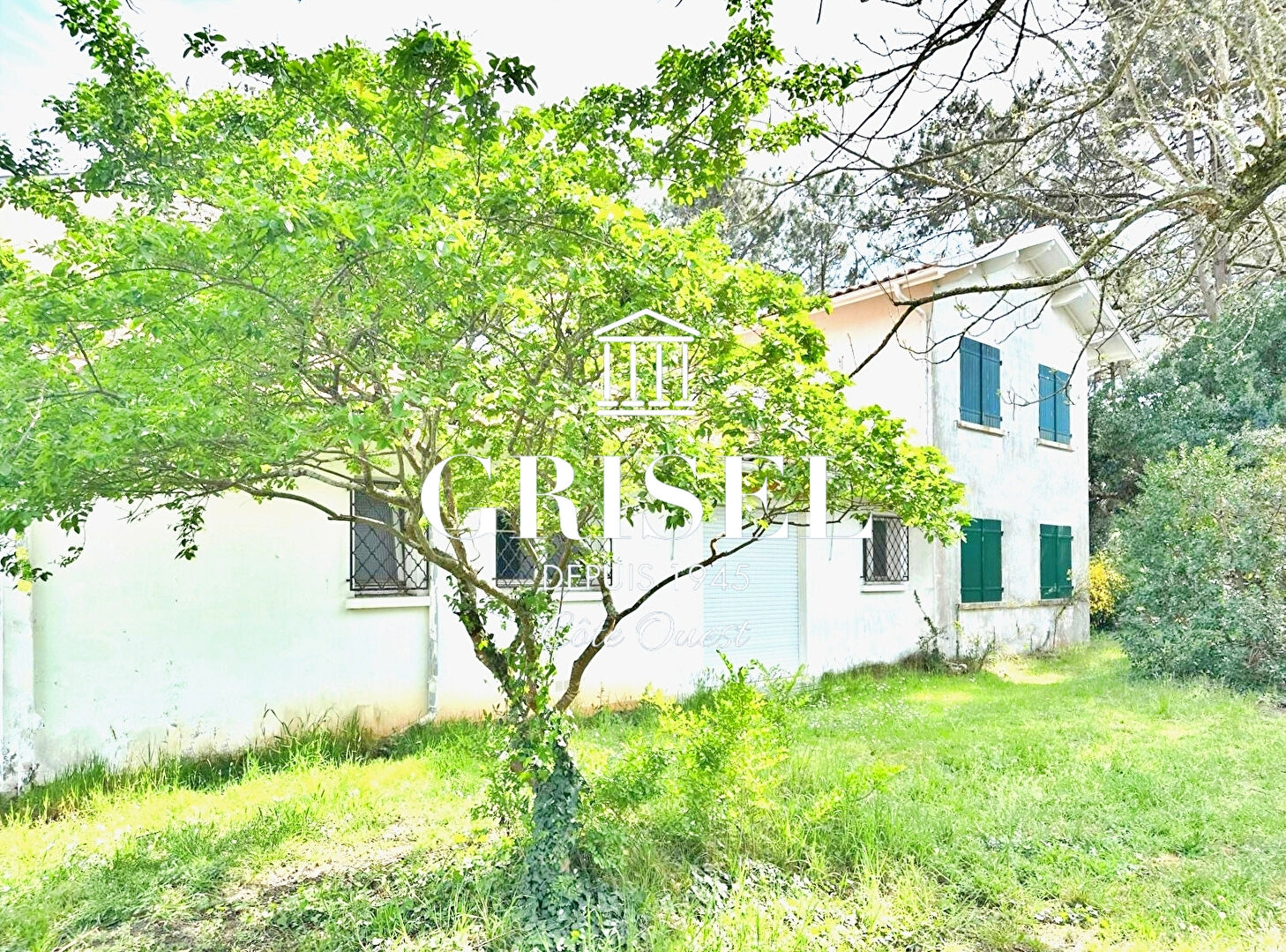 Agence immobilière de GRISEL IMMOBILIER - GRISEL IMMOBILIER BORDEAUX